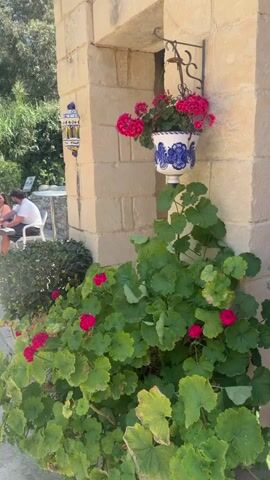 The video shows an outdoor cafe scene on a sunny day. The first shot focuses on a stone building corner decorated with potted geraniums and a hanging lantern. People are seated at tables in the background. The camera then shifts to a close-up of a small, dark blue coffee cup held in someone's hand. The background is blurred, showing the cafe setting. The camera pans to show the outdoor seating area with people sitting and standing around tables under a tree. A woman with long brown hair, wearing a black outfit, walks toward a large tree in the garden. She is smoking a cigarette. The scene appears to be a casual and relaxed atmosphere.