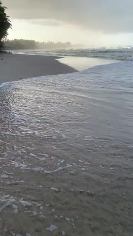 The video shows a serene beach scene with gentle waves lapping at the shore. The sky is overcast, with the sun peeking through the clouds, creating a soft, diffused light. Palm trees line the distant shore, adding a tropical feel to the landscape. The sand is wet from the incoming tide, reflecting the muted colors of the sky. The overall mood is peaceful and tranquil, inviting viewers to relax and unwind.