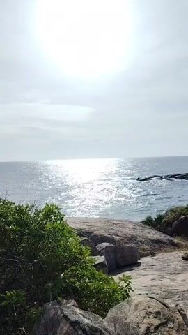 The video captures a scenic view of the ocean from a rocky shore. The sun is high in the sky, casting a bright glare on the water, creating a shimmering effect. Waves gently lap against the shore, and some large rocks are visible in the foreground, with lush green vegetation growing around them. In the distance, more rocks and a line of trees can be seen along the coastline. The sky is a pale blue with some scattered clouds. The camera pans slowly across the landscape, offering a panoramic perspective of the tranquil coastal environment.
