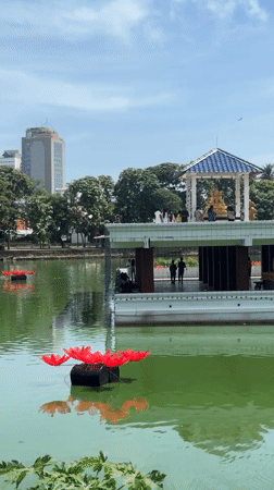 Morning tour captures Colombo temples, rooftop pools, cricket match
