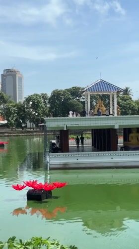 Morning tour captures Colombo temples, rooftop pools, cricket match