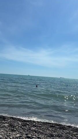 The video shows a view of the sea from a pebbled beach. The sky is blue with scattered white clouds, indicating it is daytime and likely sunny. The sea is calm with gentle waves lapping at the shore. In the distance, there are several large ships visible on the horizon. A person is swimming in the water, with only their head visible above the surface. The overall mood is peaceful and serene, suggesting a pleasant day at the beach. The location is Shirokaya Balka, Russia.