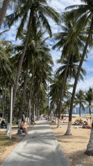 Afternoon life along Nha Trang's palm-lined beachfront promenade