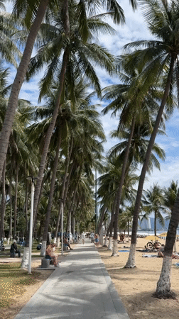Afternoon life along Nha Trang's palm-lined beachfront promenade