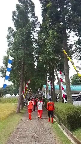 The video shows a dirt path lined with tall trees, decorated with red and white flags, and a few blue and white flags. A group of people, some wearing orange vests or outfits, are walking down the path. There's a grassy field on the left and a trimmed hedge on the right. In the distance, there's a building with a blue roof and some vehicles parked. The sky is overcast.