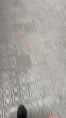 Dice rolling, construction work documented simultaneously in Barcelona