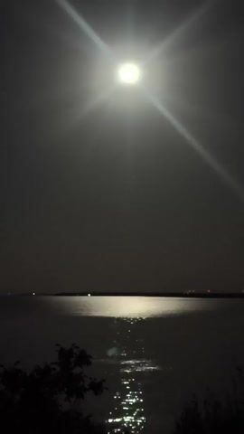 This video shows a nighttime scene with a full moon illuminating a body of water. The moon is bright and appears to have starburst-like rays emanating from it. A reflection of the moon creates a shimmering path across the water. In the distance, a faint line of lights can be seen along the horizon, possibly indicating a shoreline or buildings. The foreground is dark and out of focus, with the silhouette of some vegetation visible. The overall atmosphere is tranquil and serene.