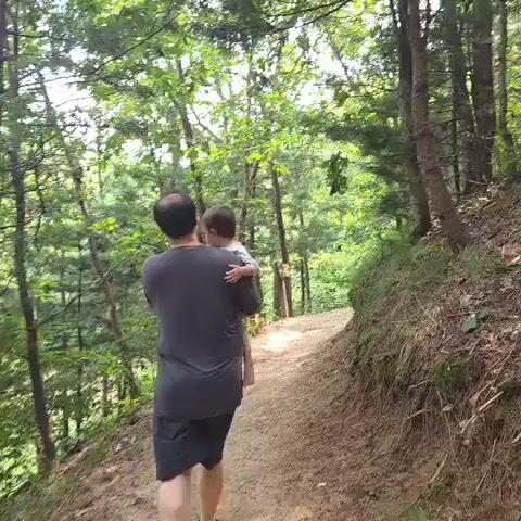 A man is seen from behind, carrying a young child on his left hip as he walks along a dirt path through a forest. The path curves to the right and appears to be on the edge of a slope, with trees and vegetation on either side. The man is wearing a dark grey t-shirt and dark shorts, and the child is wearing a light-colored t-shirt. The sun is shining through the trees, creating dappled light on the path. The environment is lush and green with tall trees and undergrowth. The video appears to be a first-person perspective, possibly from someone walking behind the man and child, or from a drone.