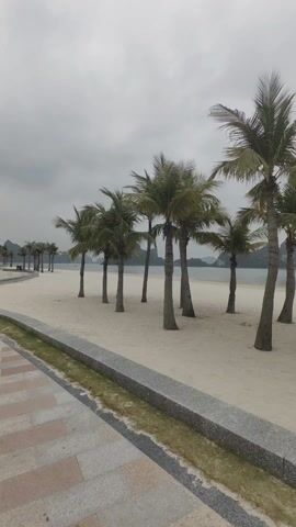 The video shows a tropical beach with palm trees, sand, and a cloudy sky. A paved walkway runs along the edge of the beach. In the distance, islands can be seen in the water. The scene is generally still with only the gentle movement of the palm fronds in the wind. The mood is calm and peaceful.
