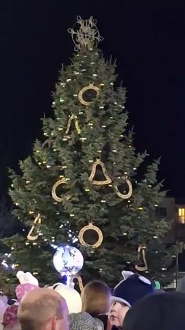 The video captures a Christmas tree lighting ceremony at night. The focal point is a large, well-lit Christmas tree adorned with circular and bell-shaped decorations. At the top sits a star-like ornament. The tree is surrounded by a crowd of people, with visible heads and hats in the foreground. The crowd is counting down, creating anticipation. In the background, some buildings are visible, adding to the scene's context.