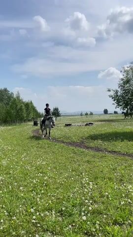 The video shows a person on a horse in a grassy field with white flowers. The person is wearing dark clothing and a helmet. The horse is white with gray spots. There are trees in the background and a cloudy blue sky. Another person is visible on a horse further in the background. The horse is walking along a dirt path.