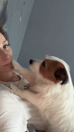 Lazy afternoon in bed with a small dog in Taldom