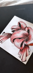 Drawing session: sketches, patterns, illusions, and a cat