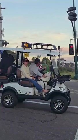A white golf cart is in motion on a paved surface. The golf cart has two rows of seats and a white roof. In the front row, a man is driving and a white dog is sitting in the passenger seat. A woman is sitting in the passenger seat in the back row. There are two other people in the back row, one of whom is wearing a black hooded jacket. The golf cart has a black basket on the front and a black rack on the roof. Traffic signals and railroad crossing signals are visible in the background. The sky is visible with some clouds and a hint of sunset colors. The dog is looking at the man in the driver's seat and appears to be wagging its tail. The man is looking forward and holding the steering wheel. The woman in the front passenger seat is looking forward. The woman in the back passenger seat is looking to the left.