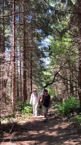 The video shows three people walking on a dirt path through a dense forest. The path is surrounded by tall trees, and sunlight filters through the leaves, creating patches of light and shadow on the ground. The person in the foreground on the right is a young male wearing a dark t-shirt, shorts, and a backpack. He is walking towards the camera. To his left and slightly behind him is another young male wearing a dark t-shirt and shorts. Further behind and to the left of the first person is an older person, possibly female, wearing a white outfit and a straw hat. They are all walking in the same direction, away from the camera. The overall impression is of a casual hike through a wooded area on a sunny day.