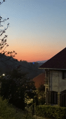 Evening sunset documented in Serbian residential neighborhood with playful dog