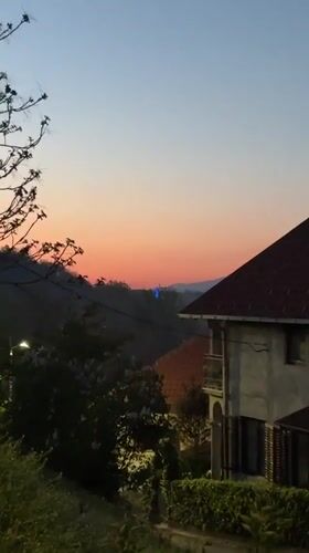 Evening sunset documented in Serbian residential neighborhood with playful dog