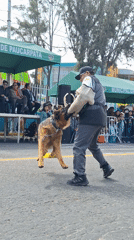Police K-9 demonstration and parade held in Paucarpata, Peru