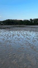 Beach activity documented during low tide in Kuta Selatan