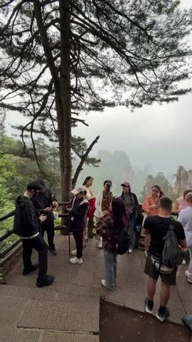 A group of people stands on a stone platform, looking out at a mountain range shrouded in mist. The platform has a wooden railing and is shaded by a large tree. Most of the people are taking photos or videos of the scenery with their phones. Some are pointing at the mountains. The group consists of individuals of varying ages and ethnicities. Most are wearing casual clothing and backpacks. The environment appears to be a tourist spot within a mountainous region, the weather conditions seem overcast.