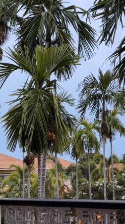 Hua Hin City Municipality, Thailand