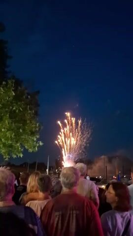 The video shows a group of people watching fireworks in the night sky. The fireworks are orange and yellow, and they are exploding in a burst of light. The people are standing in a crowd, and they are all looking up at the fireworks. The sky is dark blue, and there are some trees in the foreground. The video is shot from behind the crowd, so the faces of the people are not visible. There is a body of water in the background with boats.