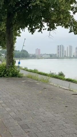 A drone shot pans across a riverfront scene. On the left, a cobblestone path runs alongside a red bicycle lane. A young woman on a bicycle rides away from the camera in the bicycle lane, followed by other cyclists. Trees with green foliage line the path between the river and the bicycle lane. In the distance, a wide river is visible, with apartment buildings on the opposite bank. The sky is overcast.