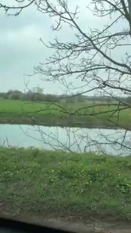 The video shows a view from a moving vehicle passing a waterway with green grassy banks.  The water is still, reflecting the sky and the trees along the bank.  Trees, some bare and some with minimal foliage, line the waterway.  Beyond the waterway is a green field.  The sky is overcast.