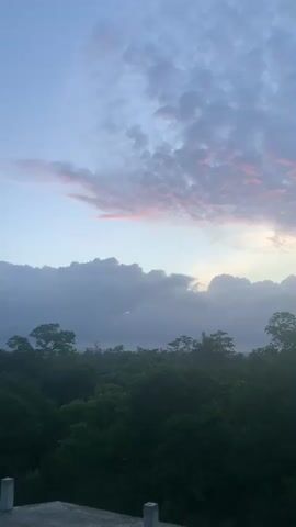 The video shows a drone shot moving forward over a densely wooded area. The shot starts by panning slightly up to reveal a cloudy sky with hints of pink in the upper clouds. Below the sky is a horizon line of dark green trees, with a few taller trees interspersed. The drone continues to move forward, revealing more of the landscape. The sky transitions from a pale blue with scattered clouds to a more overcast sky as the drone approaches the treeline. In the foreground, the edge of a concrete structure with white posts is visible.