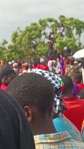 The video shows a large, dense crowd of people, viewed from behind. Many individuals are wearing red clothing, and some are wearing patterned head coverings. In the background, a large tree with green foliage is visible, and there appear to be figures climbing in it. The sky is overcast and grey.  The focus is primarily on the heads and shoulders of the people in the foreground.
