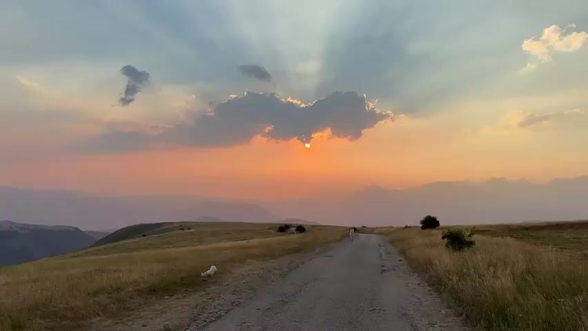 A wide-angle shot of a rural landscape at sunset. A dirt road runs through the center of the frame, leading towards a distant mountain range. The sky is filled with dramatic clouds, with the sun peeking through, casting rays of light. The fields on either side of the road are covered in dry grass. A small white dog is visible in the foreground, to the left of the road. Further down the road, a person is walking away from the camera. The overall impression is one of peace and tranquility.