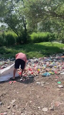 A man in a pink shirt and dark shorts is picking through a large pile of trash. The trash consists of many red and beige cups, plastic packaging, and other litter. The trash is located on a dirt patch with some green grass and trees in the background. The man moves slowly, appearing to be picking up individual pieces of trash. The sun is out and there are shadows from the trees.