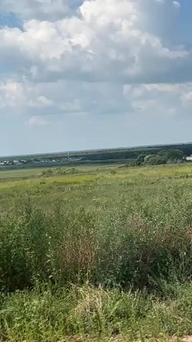 A video captures a sweeping view of a vast, green field under a partly cloudy sky. The foreground is dominated by tall, green grass and some scattered sunflowers. In the mid-ground, the field stretches out, appearing to be cultivated or natural grassland, with a distant treeline bordering the horizon. A faint cluster of buildings, possibly a village or town, is visible in the far distance. The camera appears to be moving, suggesting it's a scene from a vehicle or being carried. The overall impression is one of a rural, open landscape on a bright, possibly warm, day.