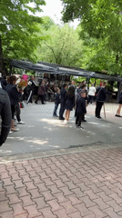 School children gather in formation with flag in Shumen park
