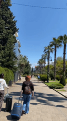 Morning pedestrian activity recorded in Sochi park walkways