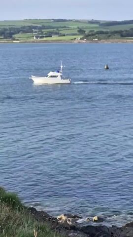 A white motor yacht is moving through calm blue water. The yacht has a white hull and cabin, a blue flag on its mast, and appears to have a small red light on its stern. The boat is leaving a wake behind it. In the distance, a buoy is visible in the water. The background shows a green, hilly landscape with some buildings and scattered trees. The foreground is a rocky shoreline with some dry grass and green vegetation. The sky is overcast but bright.