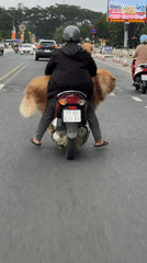 Morning street life documented across Da Lat, Vietnam