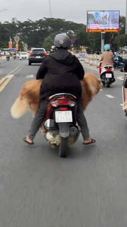 Morning street life documented across Da Lat, Vietnam