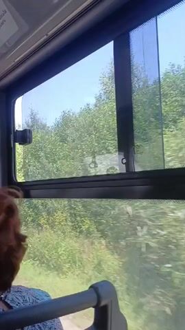 The video shows the view from a moving vehicle, likely a bus, looking out of a window. The window is divided into two panes, with the left pane being slightly wider than the right. Both panes are tinted, giving the scene a slightly blue hue. Outside the window, lush green trees and foliage blur by, indicating rapid movement. Sunlight filters through the leaves, creating a dappled effect. In the foreground, a portion of the interior of the vehicle is visible, including a dark-colored handle or support bar and the edge of a seat. The scene is captured from a low angle, looking outwards.