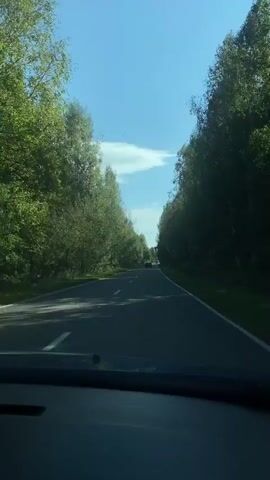 A POV shot from inside a vehicle shows a two-lane asphalt road bordered by lush green trees on both sides. The road curves gently to the left and then straightens out, disappearing into the distance. The sky is a clear blue with a few wispy white clouds. Sunlight filters through the trees, creating dappled shadows on the road. In the distance, a dark-colored car is visible, traveling in the same direction as the camera. The video is short, showing a continuous drive along this tree-lined road.