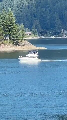 A white motor yacht travels across blue water from left to right, leaving a white wake. The yacht has two levels and a dark-colored roof. There are several people visible on the upper deck of the yacht. In the background, a rocky shoreline is covered with green trees. Beyond the trees, a forest of evergreen trees stretches up a hill. Houses are visible nestled among the trees on the far shore. The water is calm with small ripples on the surface. The sky is clear and the lighting suggests it is daytime, likely midday due to the bright sun.