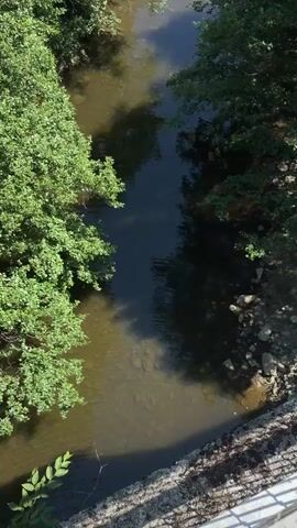 The video shows a drone view from above a narrow river. The river is flanked by trees on both sides, with dense green foliage. The water is clear and shallow, revealing the rocky riverbed beneath. Sunlight filters through the trees, casting dappled shadows on the water's surface. As the drone moves forward, the river appears to widen slightly. In the distance, a large concrete dam is visible, with water cascading over its edge. There are people visible on a walkway near the top of the dam. The environment is natural and appears to be a park or wilderness area.
