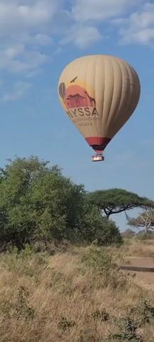 A hot air balloon with the words "NYSSA BALLOON SAFARIS TANZANIA" is seen rising into the blue sky with wispy clouds. The balloon has a drawing of a sunset, silhouetted trees, a giraffe, and a bird. The landscape below consists of trees and dry grass.
