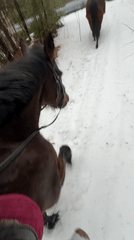 Horse riders traverse snowy paths near Chaykovsky, Russia