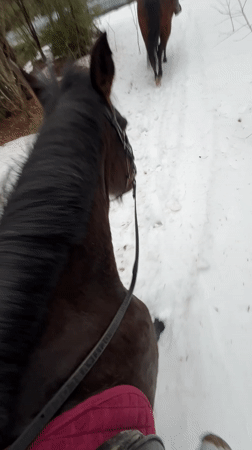Horse riders traverse snowy paths near Chaykovsky, Russia