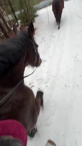 Horse riders traverse snowy paths near Chaykovsky, Russia