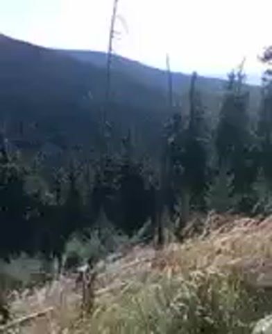 The video shows a first-person perspective of someone walking on a rocky, dirt trail through a forest. The trail is narrow and slopes downwards. On the left side of the trail, there is a steep drop-off with trees visible in the distance. On the right side of the trail, there are more trees and some dry grass. The sun is shining, and the sky is blue. The person is wearing dark clothing. There are no other people visible in the video. The video is shaky, indicating that the person is moving at a brisk pace.
