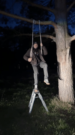 Man stands on stepladder in yard at night
