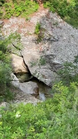 A small waterfall cascades down a rocky incline, surrounded by lush green foliage. The water appears clear and is flowing into a shallow pool. The rocks are a mix of light grey and white, with some evidence of moss and algae growth. The surrounding vegetation is dense and vibrant, suggesting a natural, possibly wild, environment. There are no people or animals visible in the frame. The scene is illuminated by natural daylight.