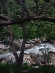 Rushing forest stream meets village edge in Jibhi, Himachal Pradesh